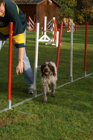 agility 2011-10-30